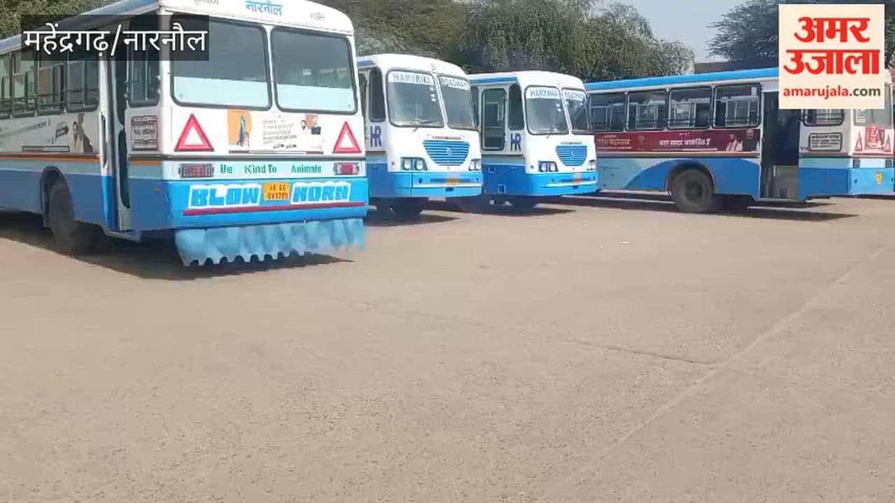 Bus operations increased on long and short routes for Holi festival