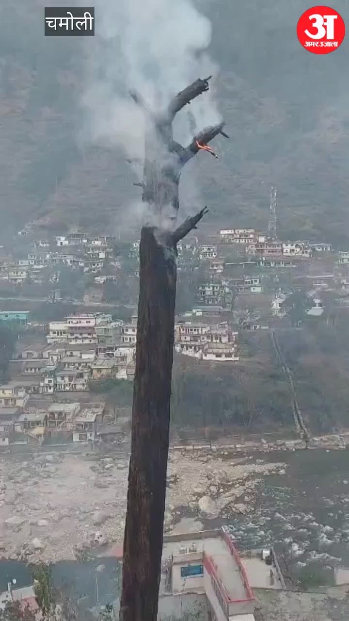 Karnprayag: सूखे पेड़ पर लगी आग, चीता पुलिस की मदद से बुझी