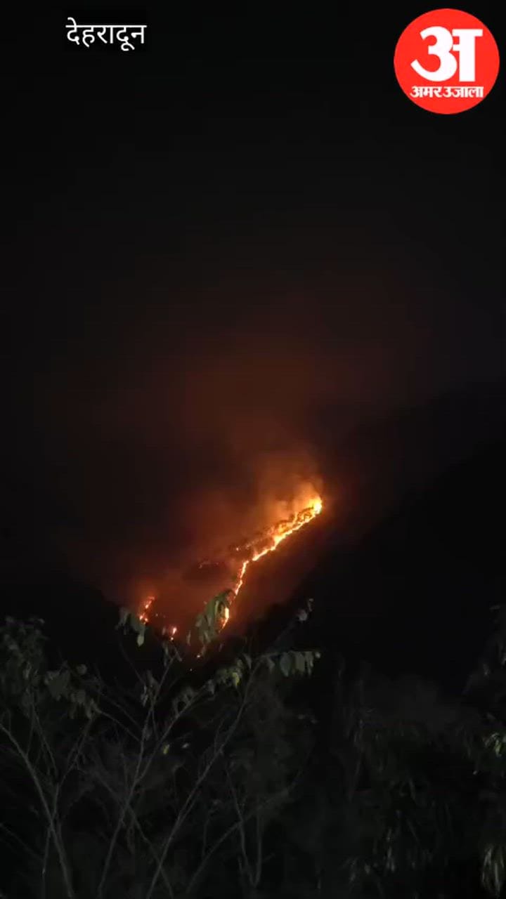 Chamoli: नारायणबगड़ के जंगलों में शरारती तत्वों ने जंगल में लगाई आग, सैकड़ों हेक्टेयर वनसंपदा नष्ट