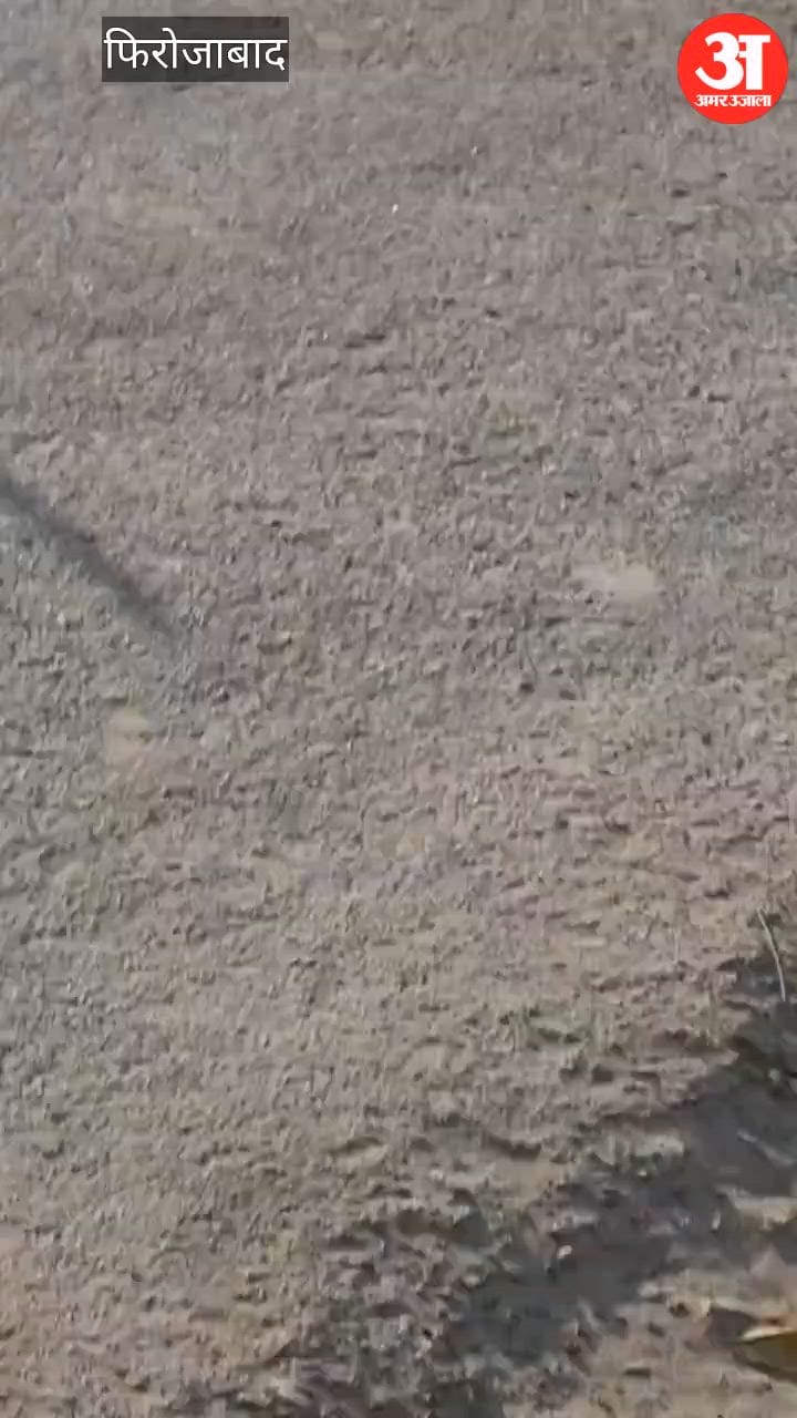 VIDEO: शिकोहाबाद में युवक को बेरहमी से पीटने का वीडियो वायरल, जांच में जुटी पुलिस