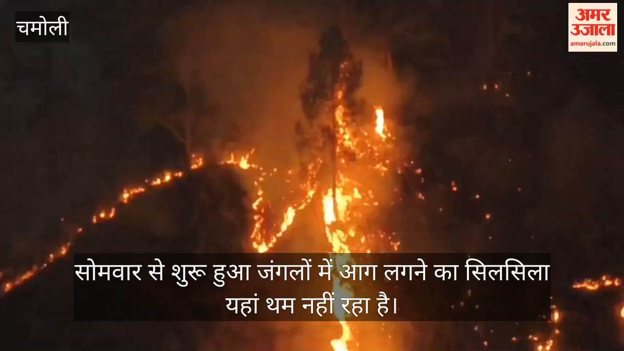 Forest fires in Chamoli continue to rage throughout the day