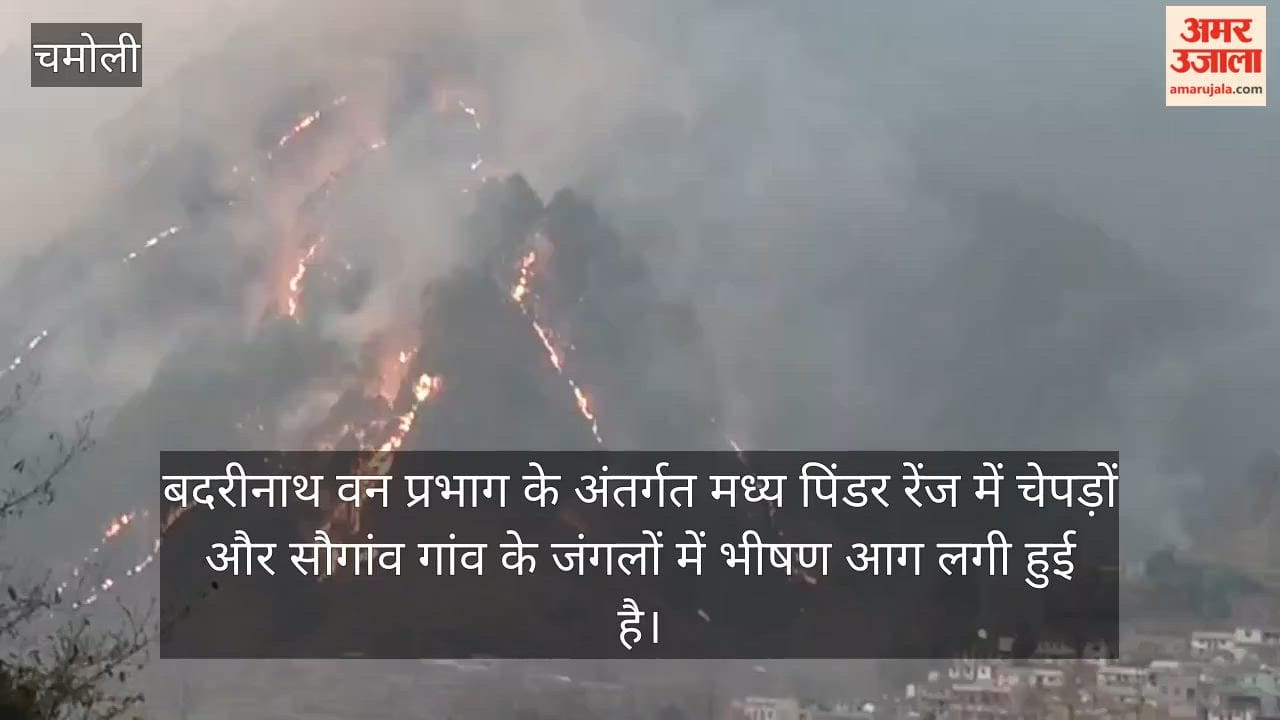 Massive fire engulfed forests of Pindar Range near Badrinath, engulfing over 20 hectares of forest area