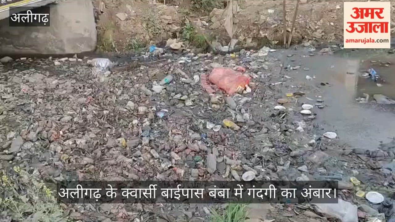 अलीगढ़ के क्वार्सी बाईपास बंबा में गंदगी का अंबार