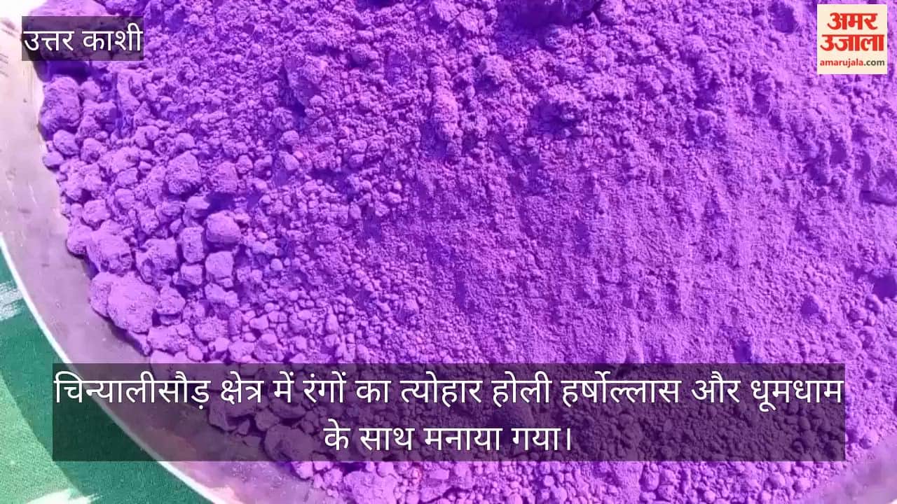 Holi celebrated with great enthusiasm in Chinyalisaur