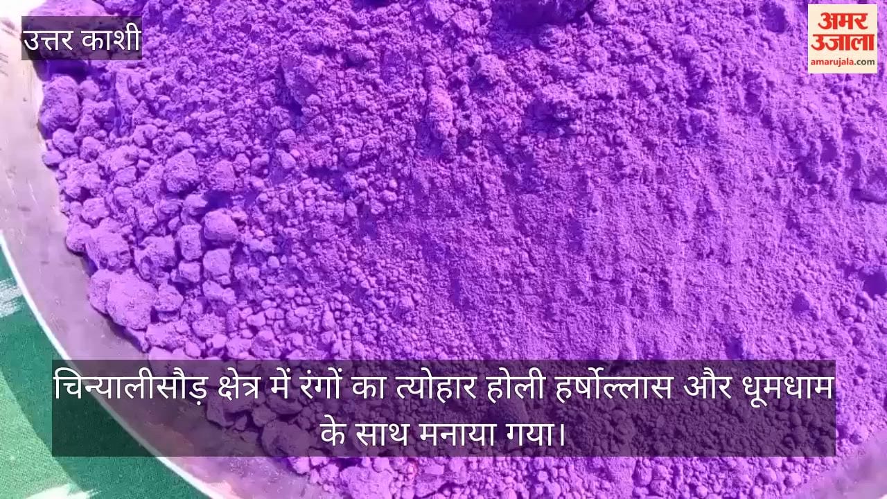 Holi celebrated with great enthusiasm in Chinyalisaur