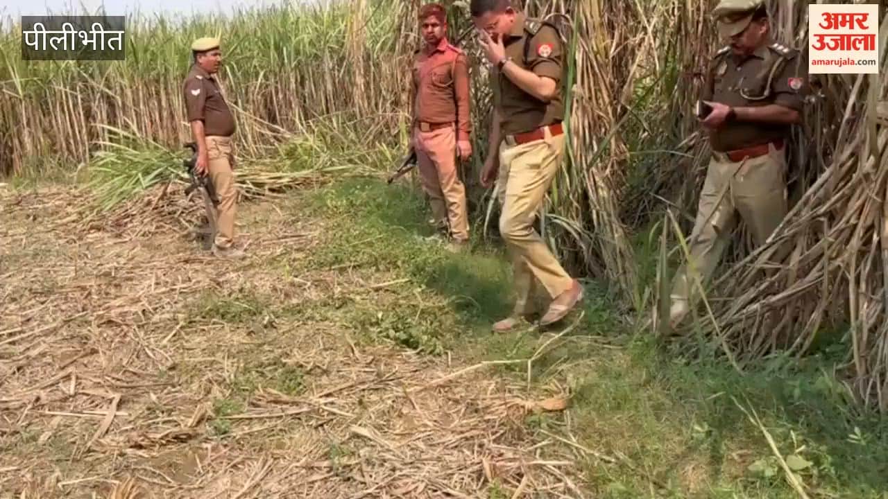 Woman's body found in sugarcane field in Pilibhit
