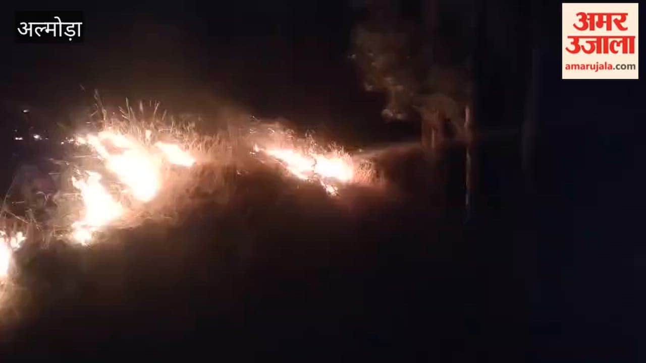 A fire broke out in the Katarmal forest, and the fire brigade brought it under control after two hours of effort