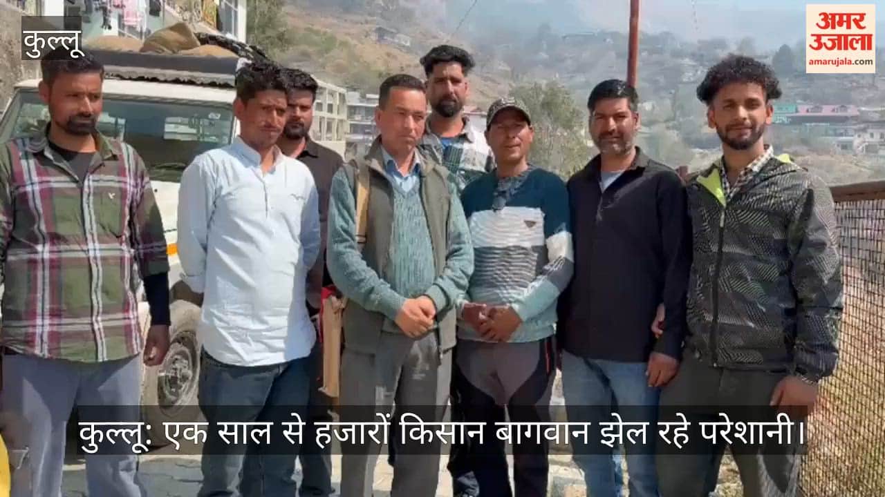 Kullu: Thousands of farmers and gardeners are facing problems since last one year