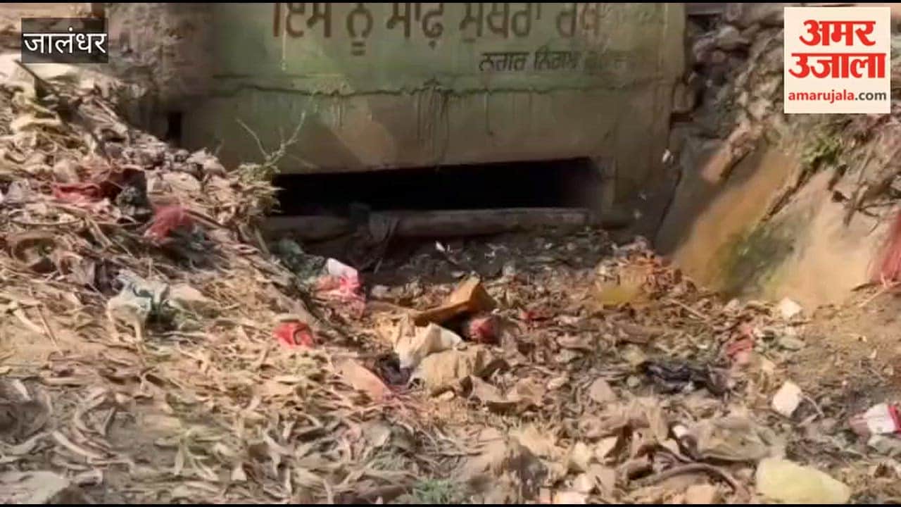 Garbage in the canal passing through Phagwara Urban Estate