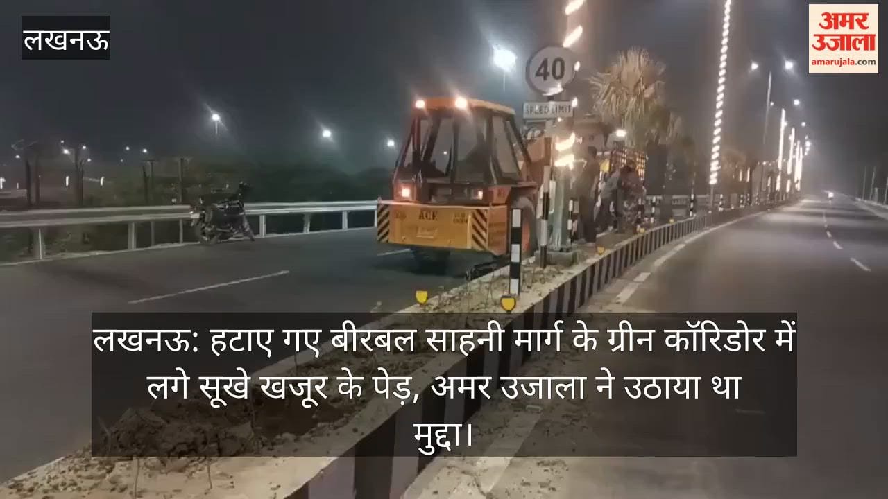 लखनऊ: हटाए गए बीरबल साहनी मार्ग के ग्रीन कॉरिडोर में लगे सूखे खजूर के पेड़, अमर उजाला ने उठाया था मुद्दा