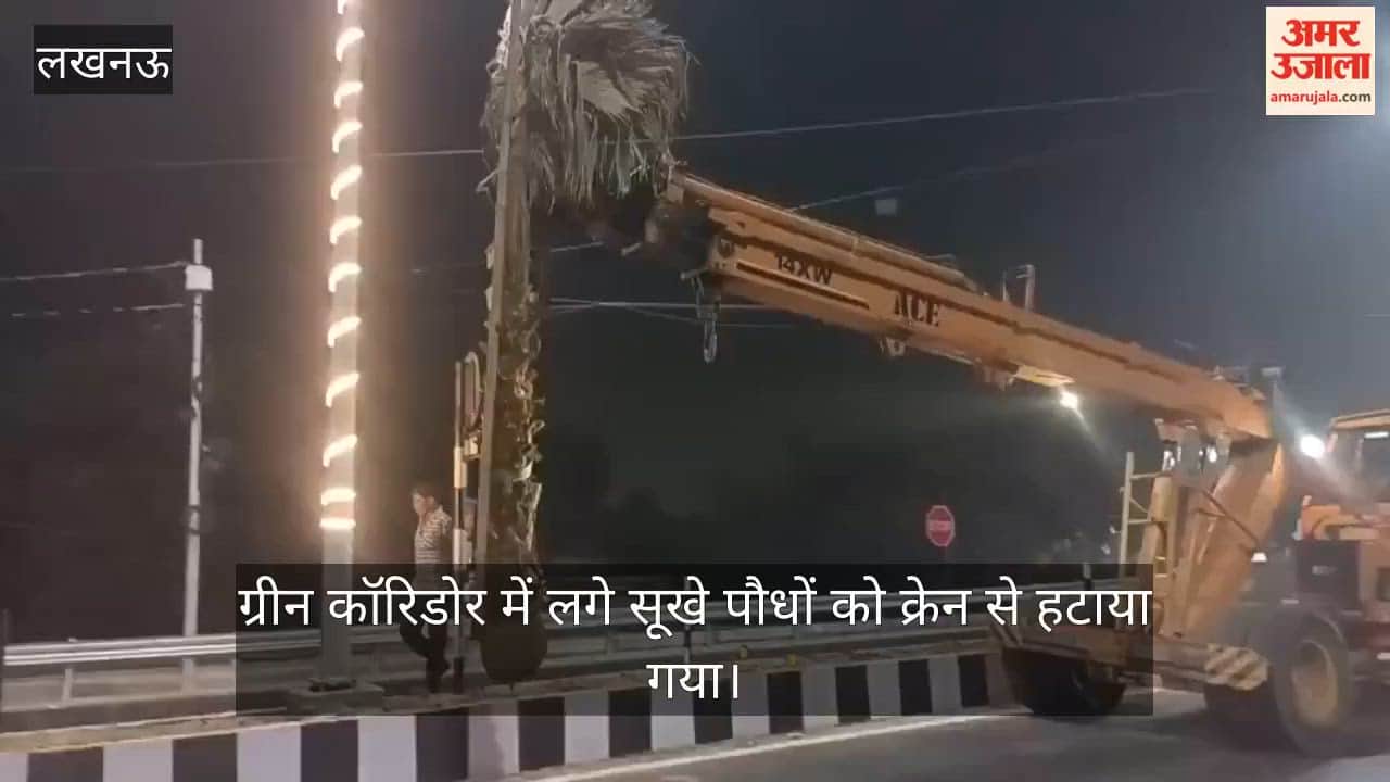 Video: ग्रीन कॉरिडोर में लगे सूखे पौधों को क्रेन से हटाया गया