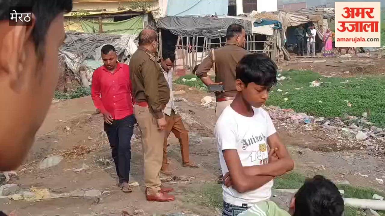 Cow Rescued After Falling into Pond in Zahidpur Village of Meerut