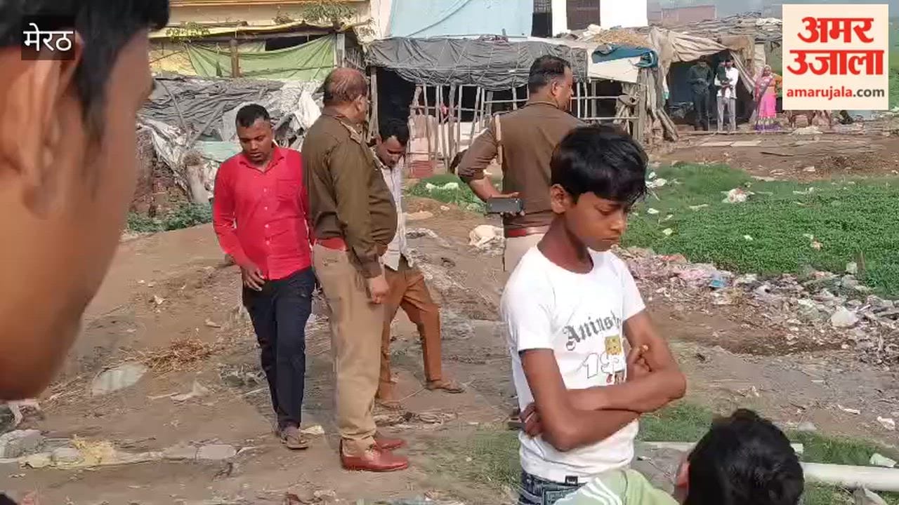 Cow Rescued After Falling into Pond in Zahidpur Village of Meerut