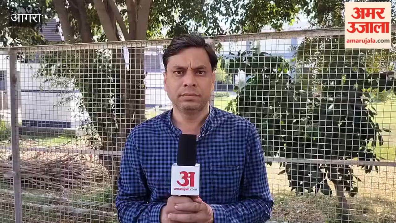 In a three-hour rescue operation, the lives of two puppies that fell into a 70 feet deep well were saved