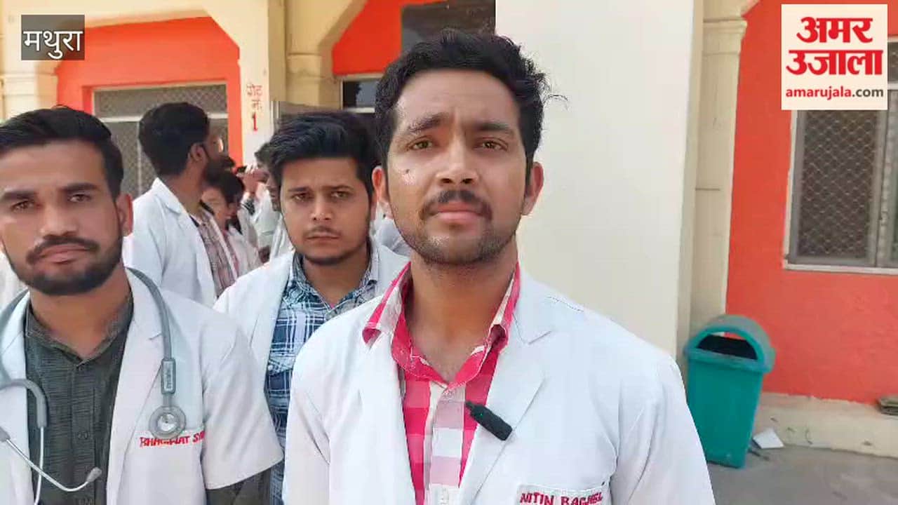 Veterinary Interns Go on Indefinite Strike in Mathura Protest Over 33 Per Day Allowance
