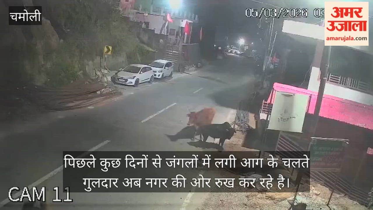 Forest fire leopards coming towards the city karnprayag Chamoli News