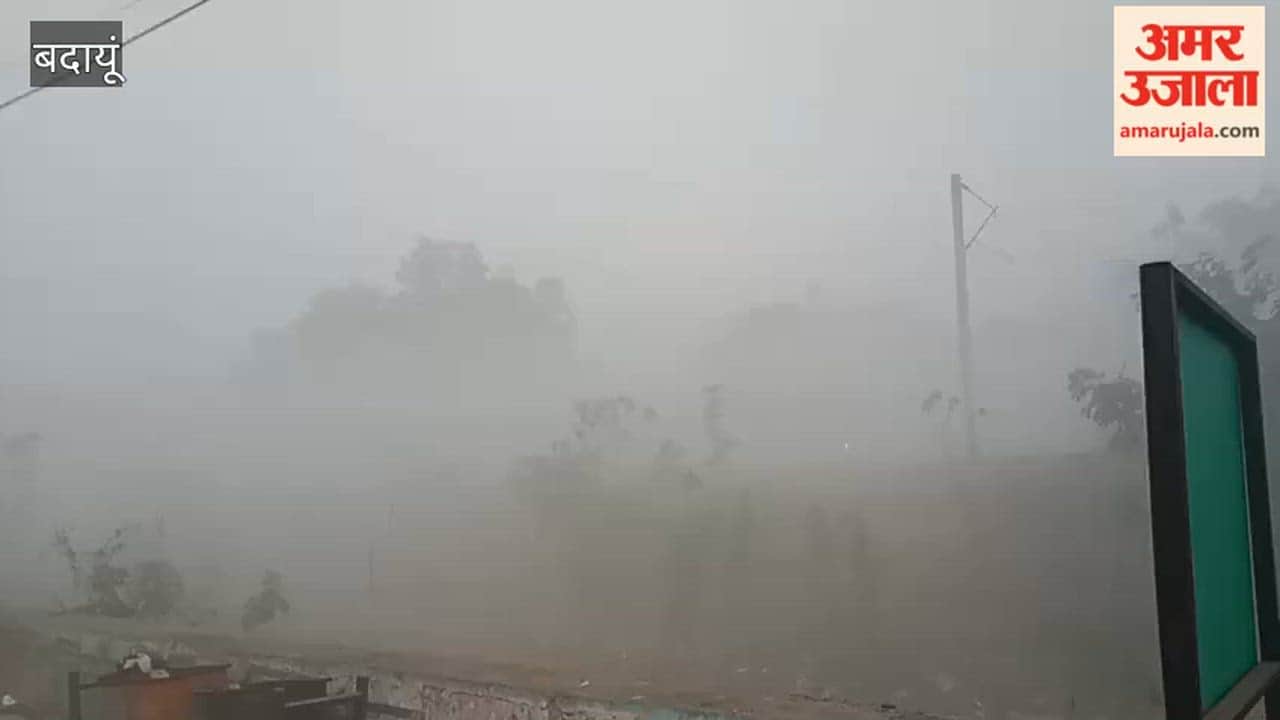 Weather changes color after Holi fog in budan