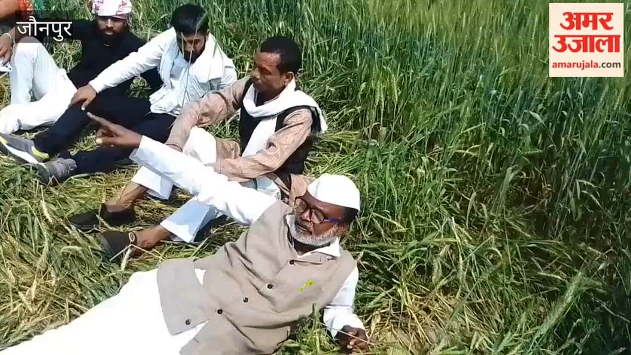 High-voltage wires are being pulled through standing crops farmers protest