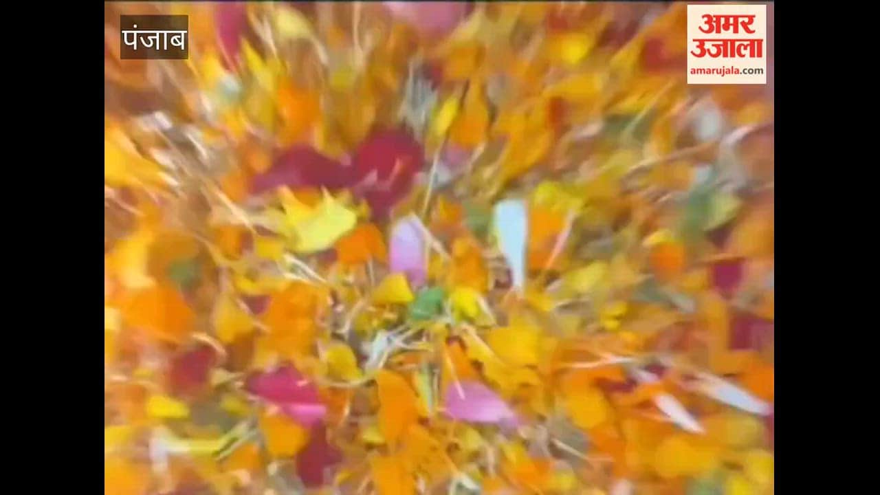 Holi festival was organised at Shiv Shakti Maa Baglamukhi Dham in Phagwara.