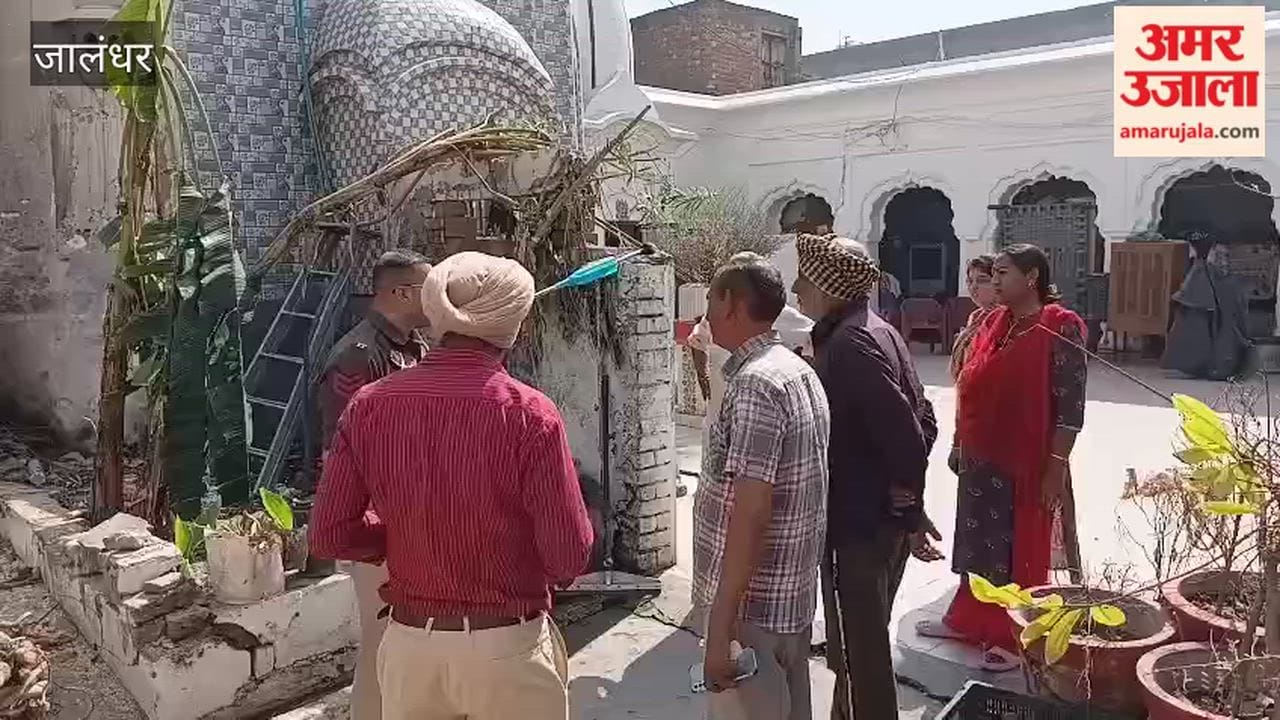 200-year-old tree felled in Jalandhar
