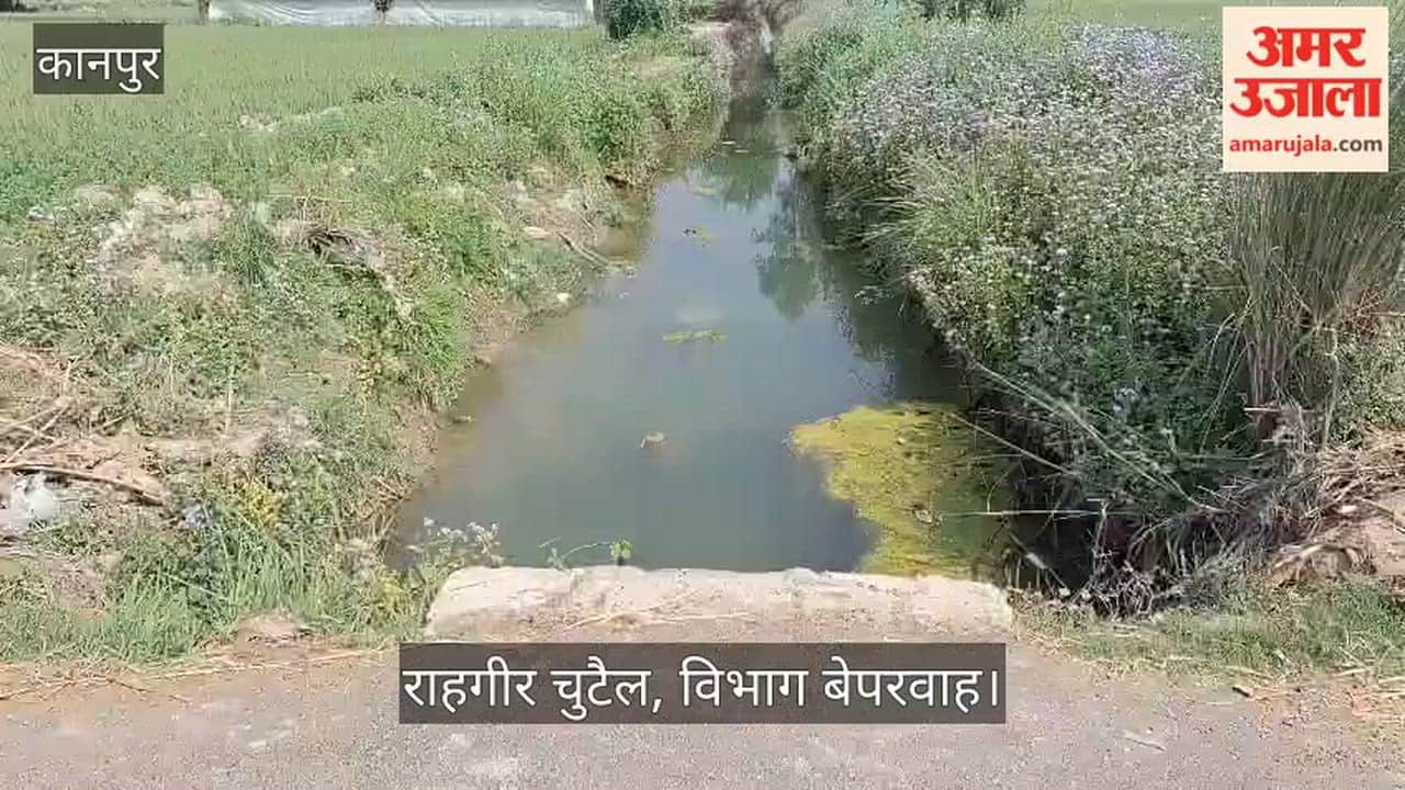 भीतरगांव: लक्ष्मणखेड़ा मार्ग पर खतरे की पुलिया, अंधाकुप माइनर में गिर रहे दोपहिया वाहन