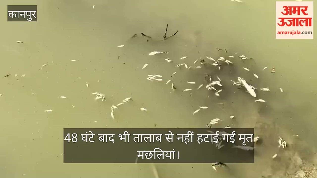 भीतरगांव: मृत मछलियों की दुर्गंध से सांस लेना हुआ दूभर, संक्रामक बीमारियों के खतरे से ग्रामीणों में दहशत