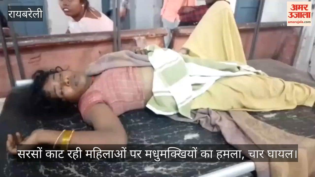 रायबरेली में सरसों काट रही महिलाओं पर मधुमक्खियों का हमला, चार घायल