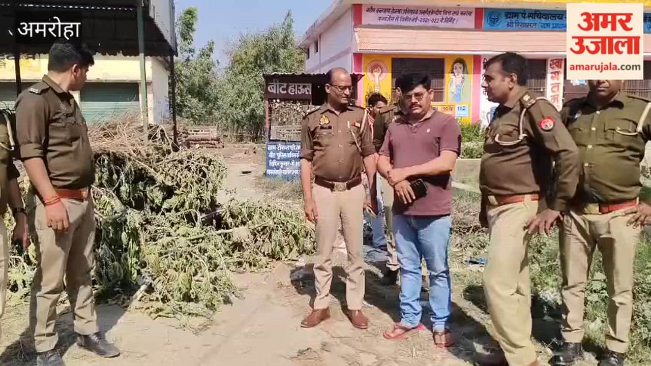 Tight security arrangements on Holi, police patrolling