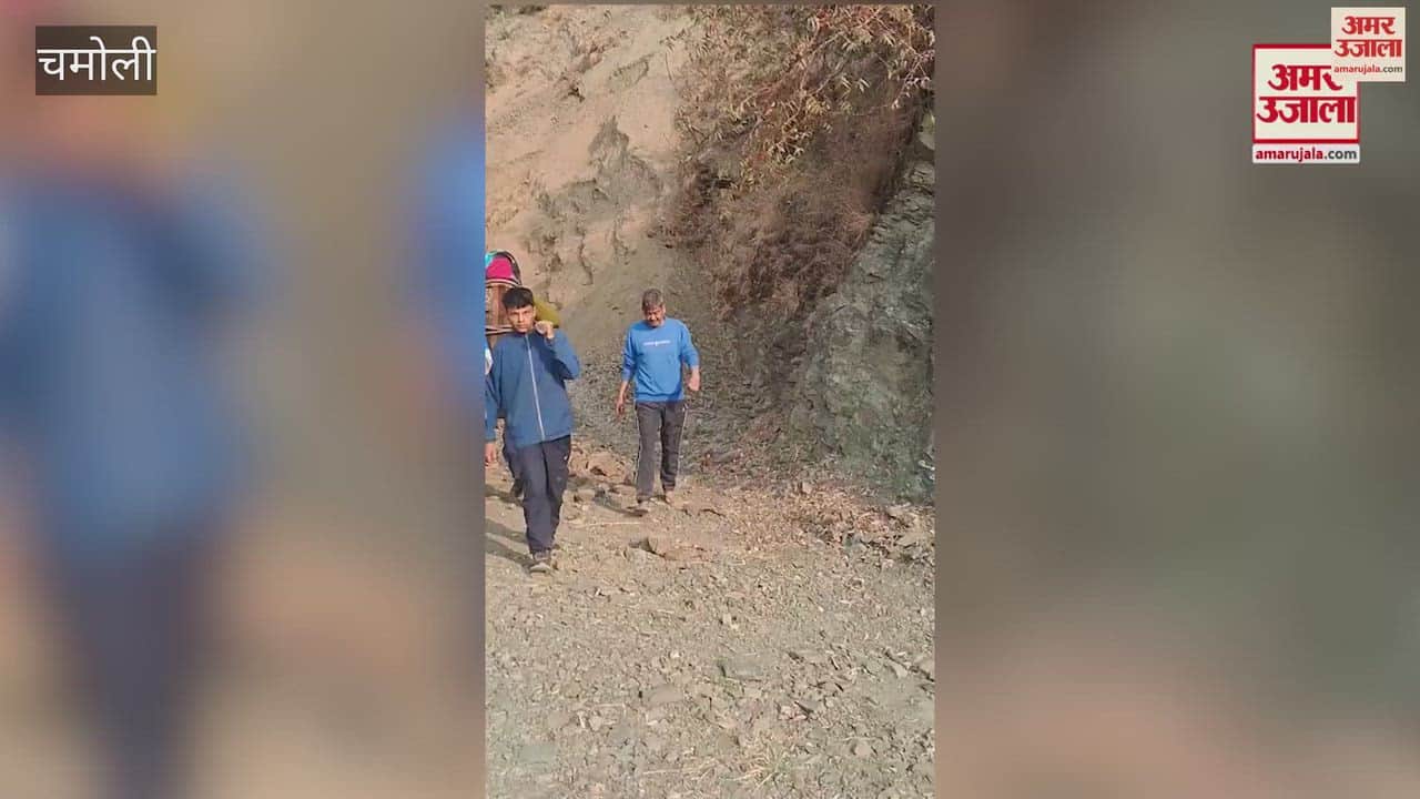 Chamoli: There is no road in Toli and Umasain, the sick are being taken to the hospital in Dandi by crossing the hill on foot