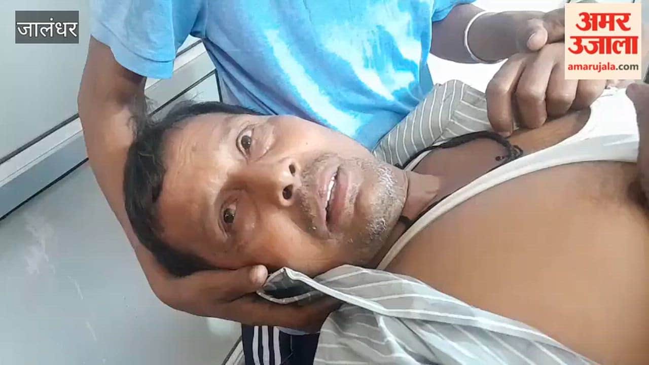 Man bitten by stray dog in Phagwara