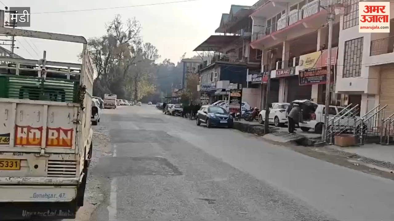 Mandi Princey became a support for the helpless elderly, left her job and opened an old age home