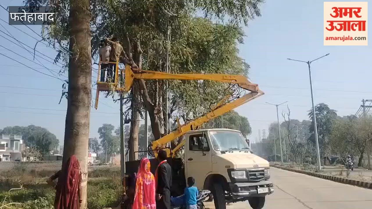 Fatehabad suffered power cuts on Sunday, leaving residents in several colonies in a state of disarray.