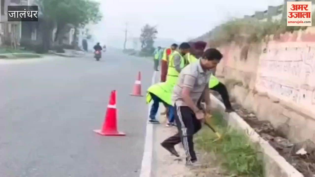 फगवाड़ा को हरा-भरा बनाने की ओर संस्था का नया कदम