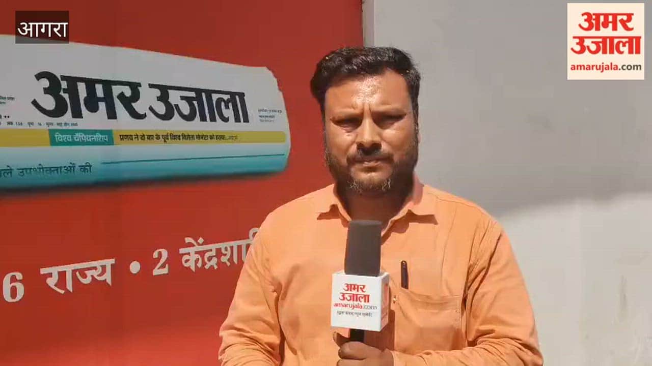 Cricket fans are excited about T20 World Cup final match of india vs new zealand