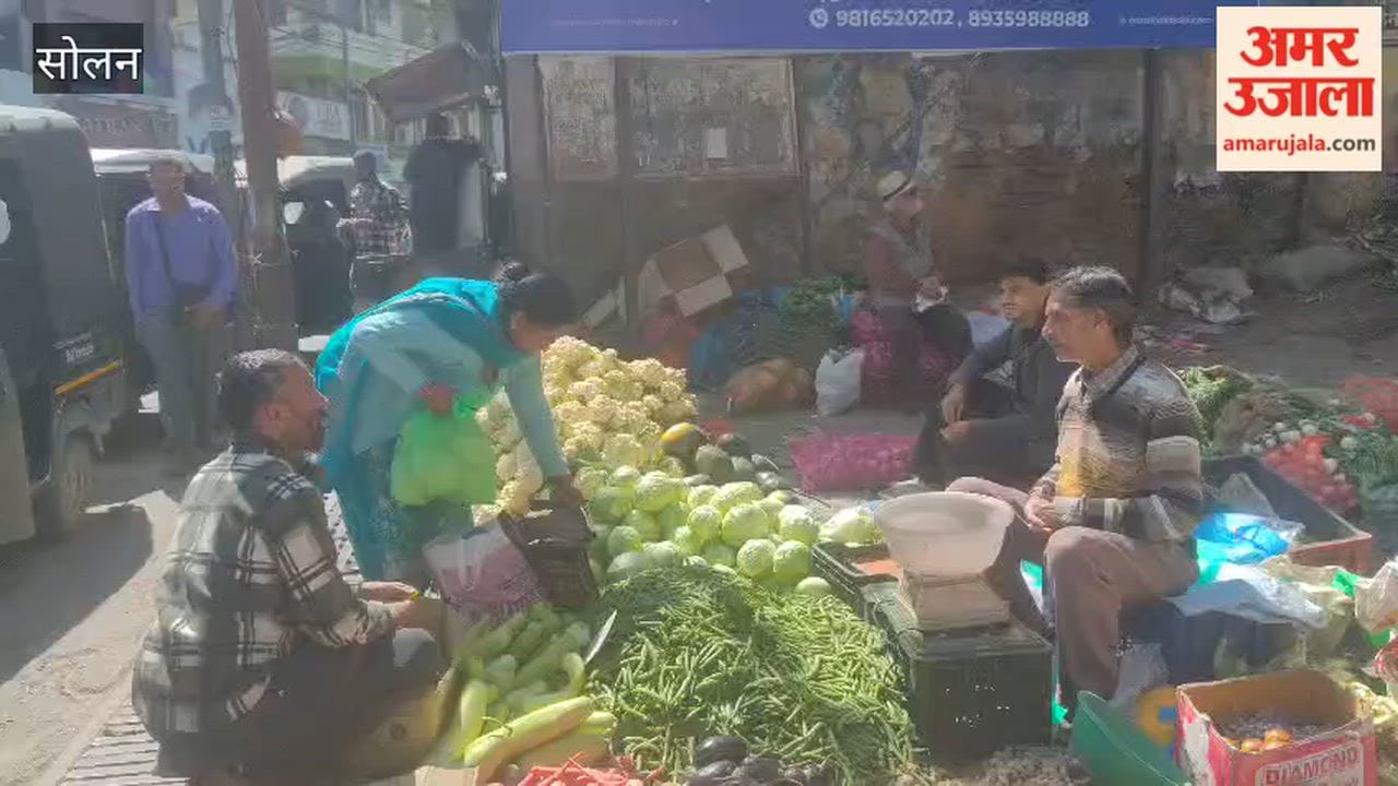 Solan: Off-season vegetables seen in Kisan Janta Mandi
