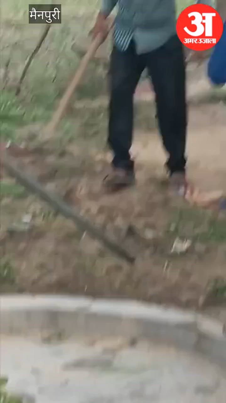 VIDEO: मकान के विवाद में खूनी संघर्ष, परिवार के लोगों में मारपीट, पुलिसकर्मी ने भी चलाए डंडे; वीडियो हुआ वायरल