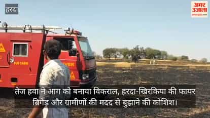 A massive fire destroyed 50 acres of wheat crop, destroying the farmer's hard work in minutes.