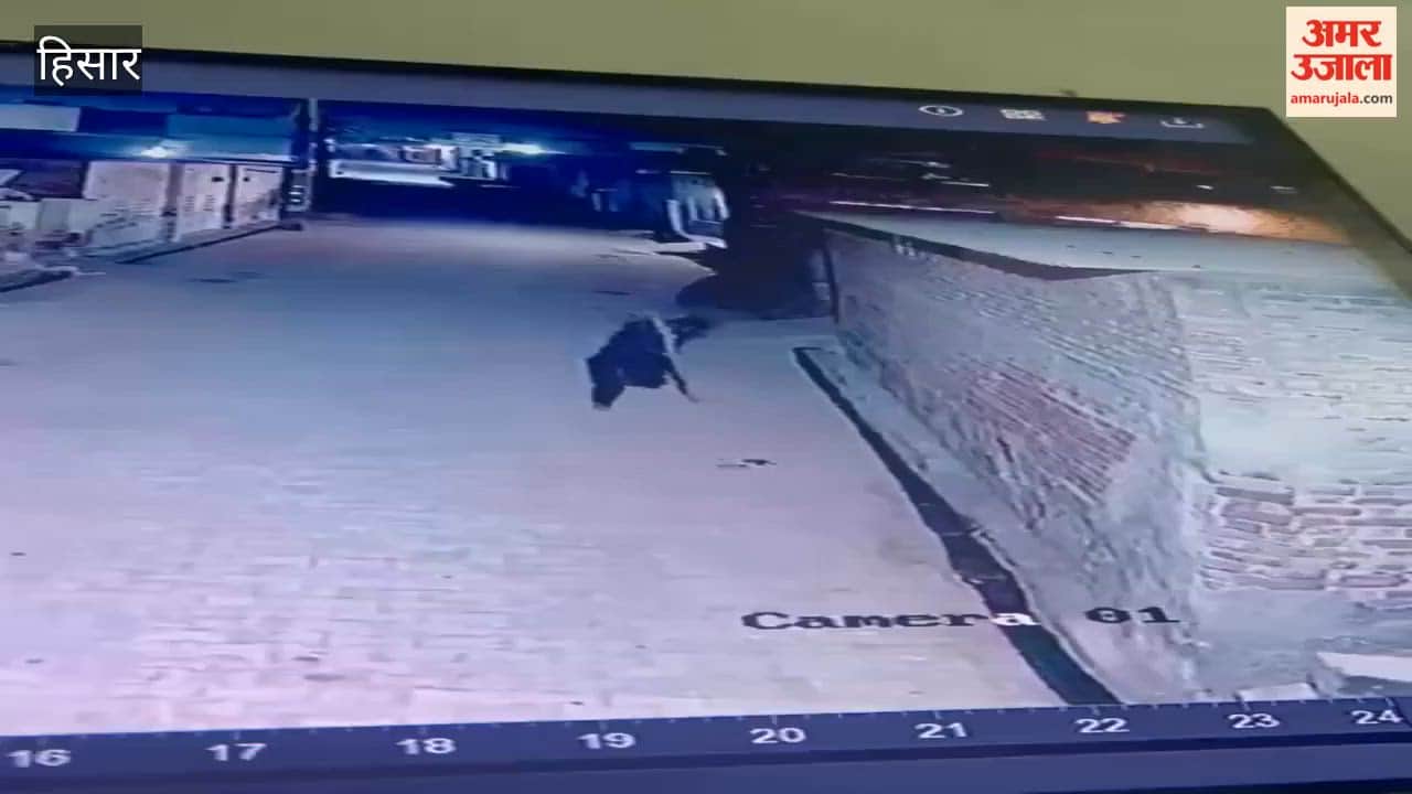 young man jumped from a roof after committing a theft in Hisar's Niana, injuring his leg