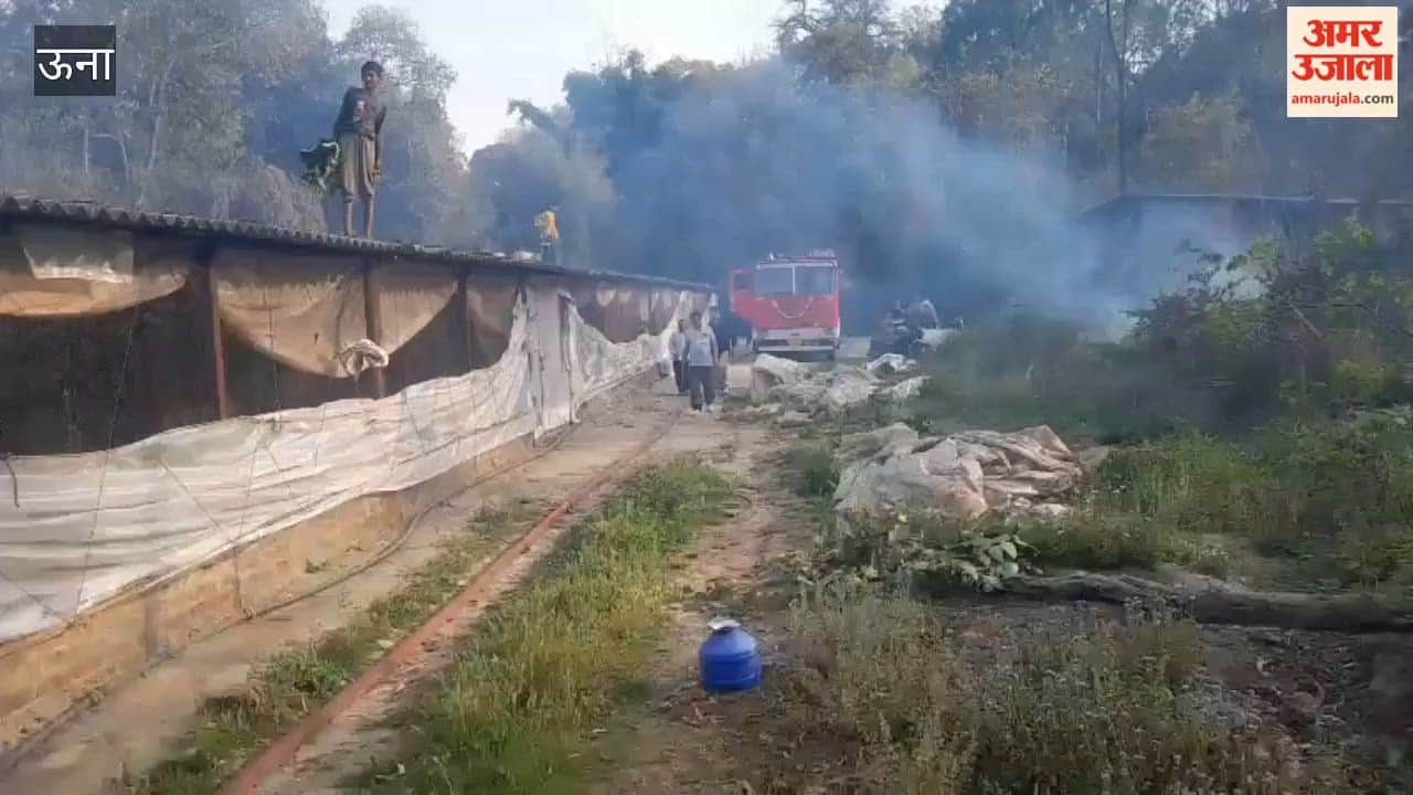 Una Miscreants started setting fire to forests, fire brigade personnel saved poultry farm from burning