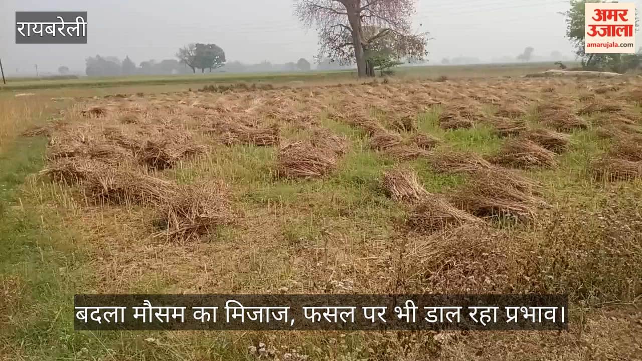 रायबरेली में बदला मौसम का मिजाज, फसल पर भी डाल रहा प्रभाव