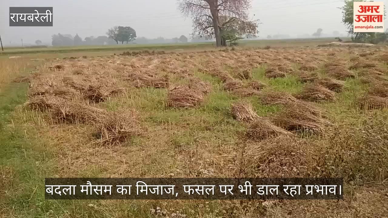 रायबरेली में बदला मौसम का मिजाज, फसल पर भी डाल रहा प्रभाव