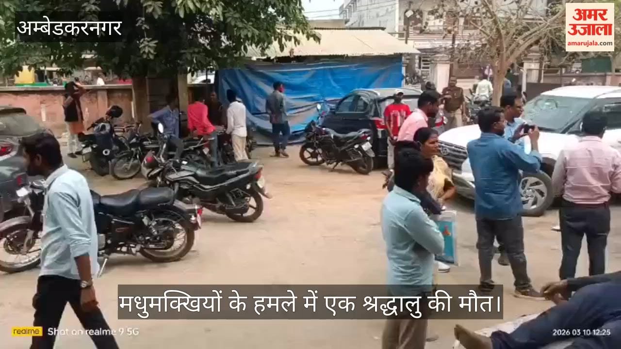 अंबेडकरनगर में मधुमक्खियों के हमले में एक श्रद्धालु की मौत, कई लोग घायल