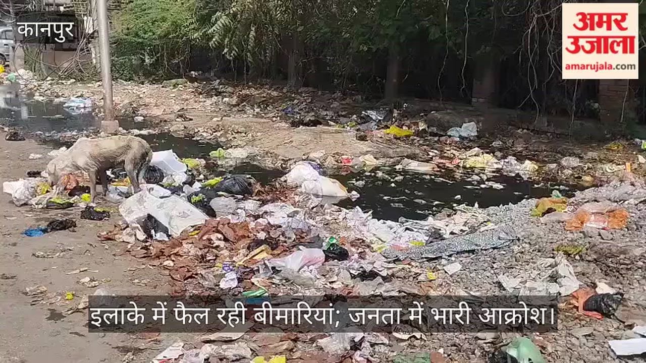 कानपुर: डिफेंस कॉलोनी में सड़कों पर कूड़े का अंबार, दुर्गंध ने जीना किया मुहाल