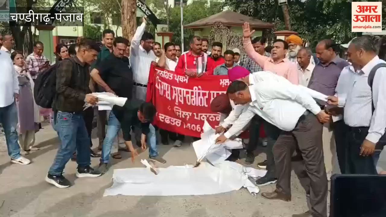 Punjab Employees and Pension Association Union burnt copies of the budget