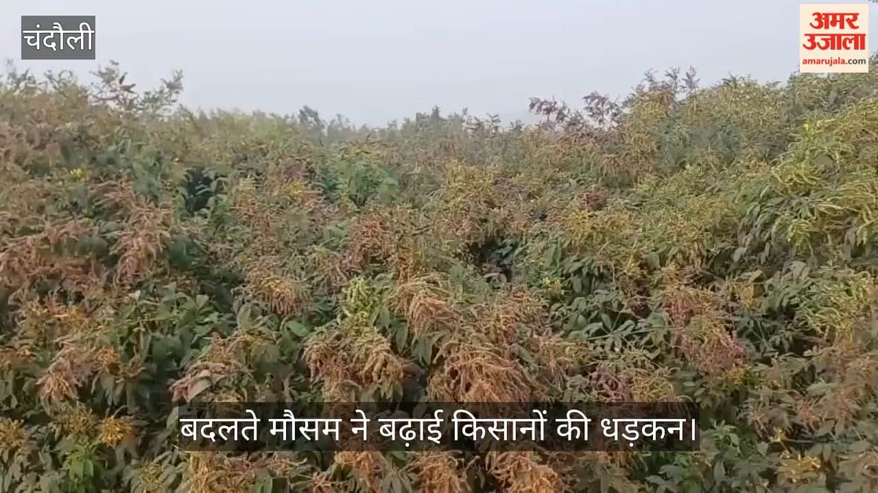 changing weather amidst flourishing crops has increased the heartbeat of farmers