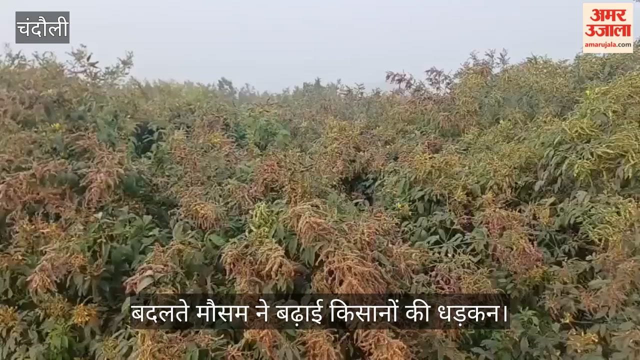 changing weather amidst flourishing crops has increased the heartbeat of farmers