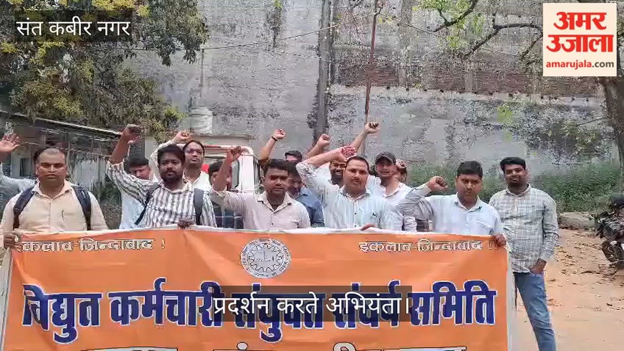 Electricity workers protested against privatization