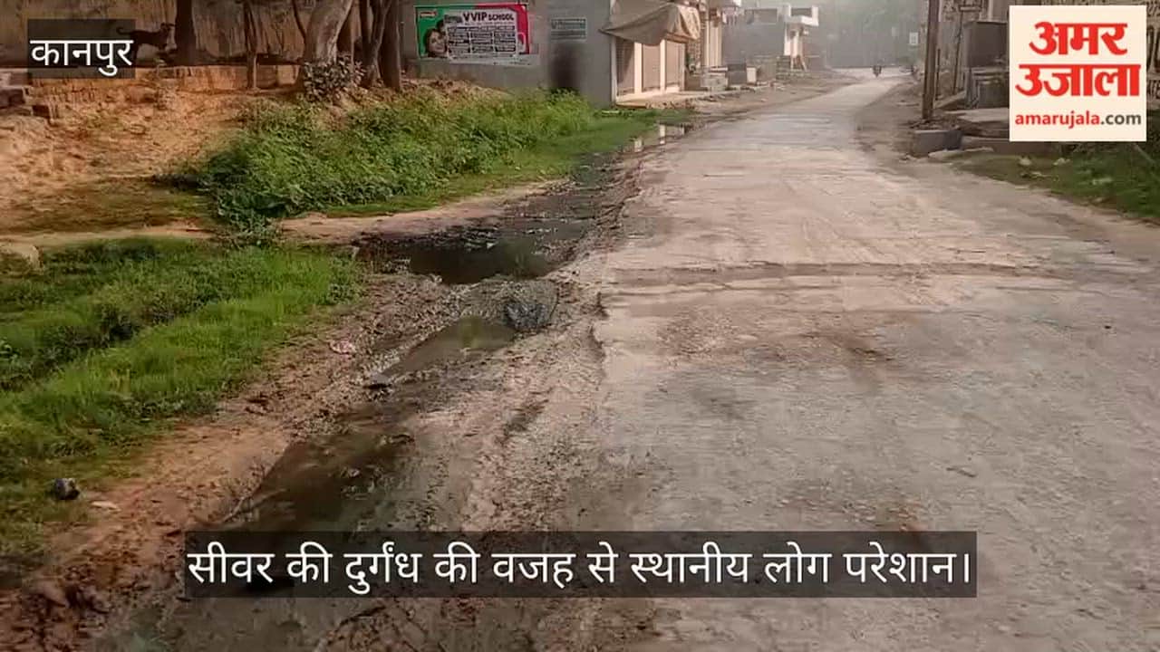 कानपुर: चकरतनपुर में टूटी नालियों में उगी घास, सड़क किनारे भरा सीवर का पानी