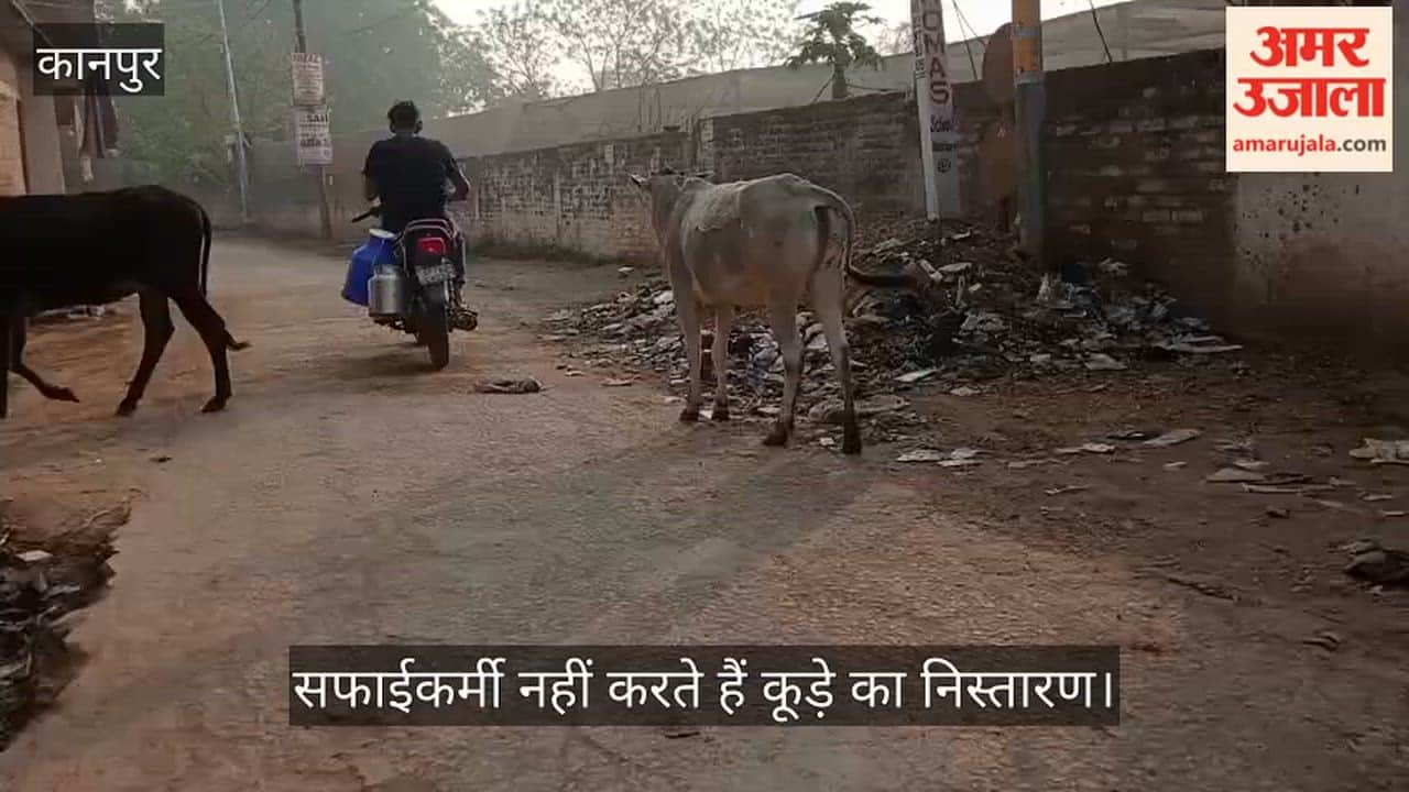 कानपुर: चकरतनपुर में सड़क पर गंदगी का अंबार, बदबू की वजह से राहगीर और ग्रामीण परेशान