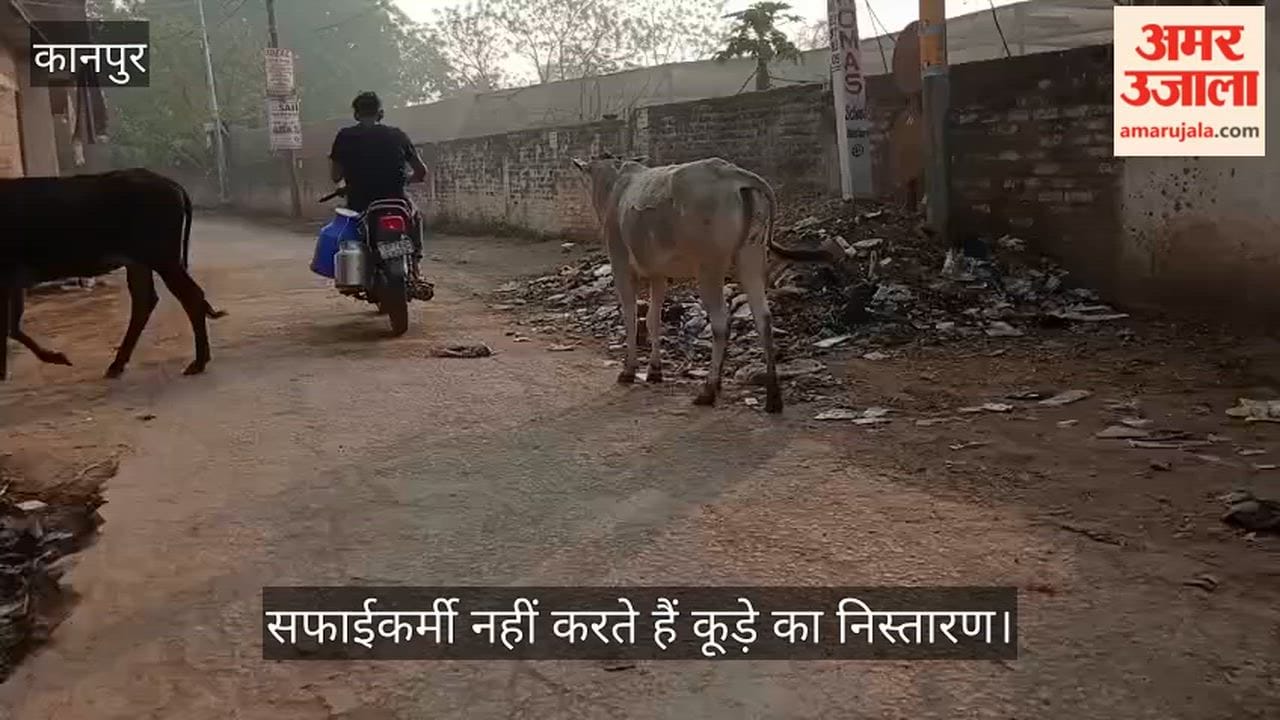 कानपुर: चकरतनपुर में सड़क पर गंदगी का अंबार, बदबू की वजह से राहगीर और ग्रामीण परेशान